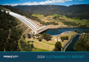 Snowy Hydro отчиталась о прогрессе в области экологии и соцпроектов