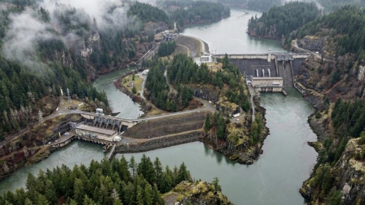 Гидроэнергетика против лосося: новый виток конфликта вокруг плотин в США