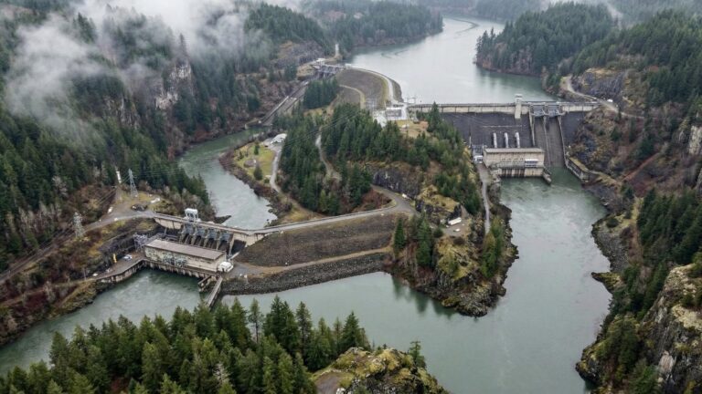 Гидроэнергетика против лосося: новый виток конфликта вокруг плотин в США