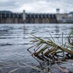 Природный аккумулятор: как пойма реки повысит выработку Новосибирской ГЭС