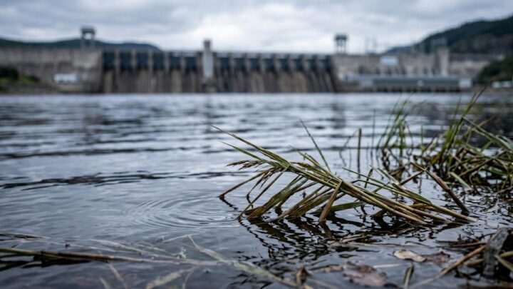 Природный аккумулятор: как пойма реки повысит выработку Новосибирской ГЭС