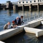 На немецкой ГЭС «Файминген» построили обводной канал для пропуска рыбы
